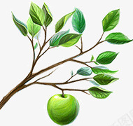 长苹果的数木png免抠素材_88icon https://88icon.com 数木 苹果 苹果树