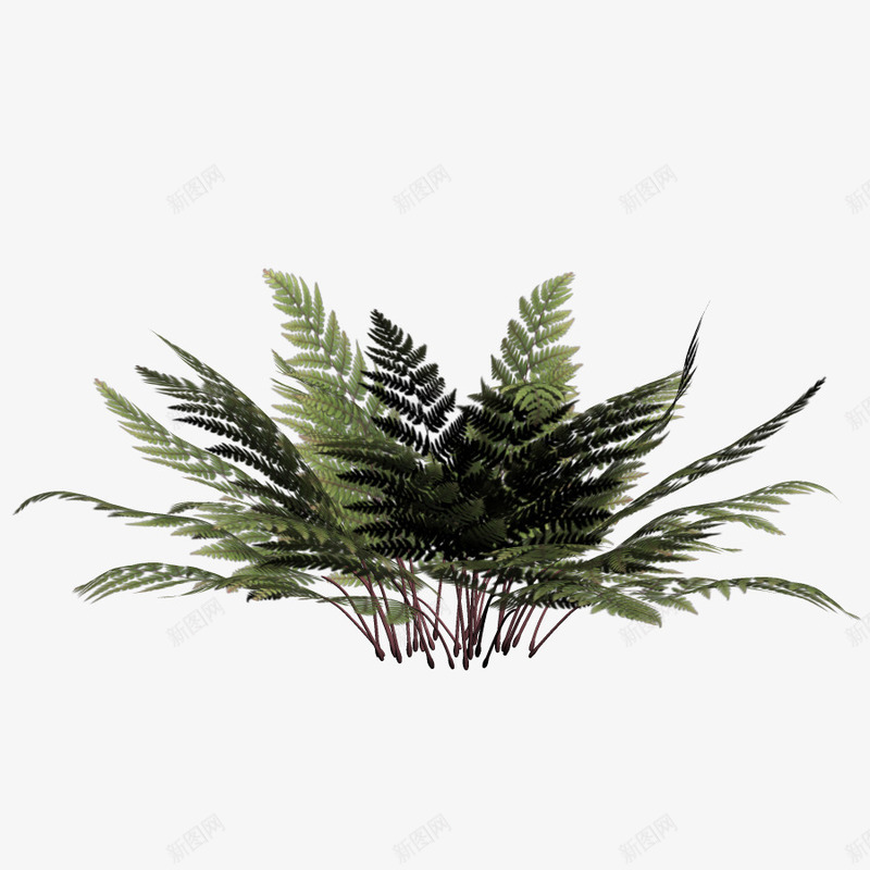 冬树png免抠素材_88icon https://88icon.com 冬季 冬树 小草 树木 植物 花草