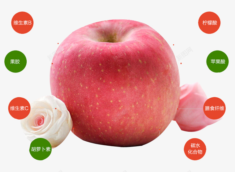 苹果营养成分png免抠素材_88icon https://88icon.com 尝鲜优惠 新品上市 新鲜上市 新鲜出炉 水果 苹果 营养成分