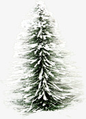 冬季雪块大树装饰素材