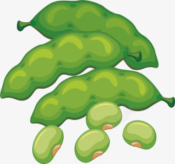 绿色植物蔬菜豌豆矢量图素材