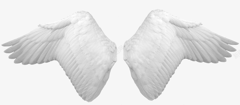 白色翅膀天使翅膀装饰png免抠素材_88icon https://88icon.com 天使 白色 素材 翅膀 装饰