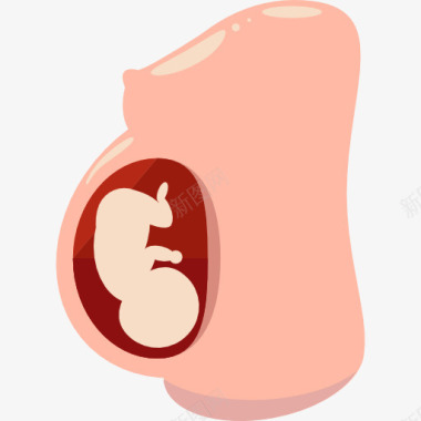 女性生殖妊娠图标图标