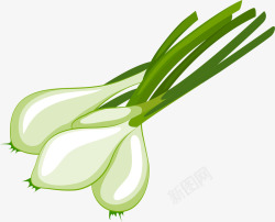 蒜头插画卡通手绘蔬菜装饰海报蒜头高清图片