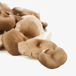 黑牡丹菇秀珍菇蘑菇高清图片