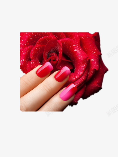 美甲png免抠素材_88icon https://88icon.com 女人的手 女性手指 彩色指甲 涂指甲油的手指图片 美甲 美甲造型