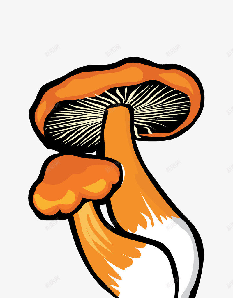 卡通手绘蔬菜装饰海报png免抠素材_88icon https://88icon.com 卡通植物插画 卡通装饰 小清新插画 广告设计 海报设计 美食 蔬菜 蔬菜插画 蘑菇