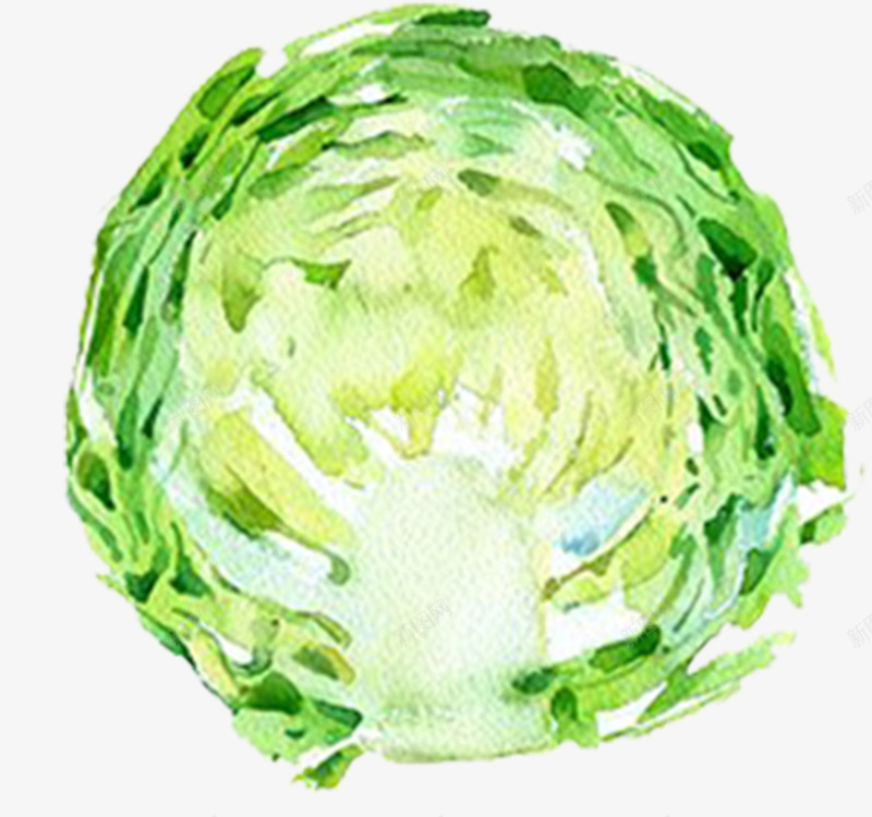 手绘水彩切好的蔬菜白菜psd免抠素材_88icon https://88icon.com 切好的蔬菜 手绘蔬菜 有机蔬菜 果蔬 绿色蔬菜 茄子 蔬菜