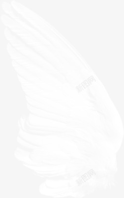 白色卡通朦胧创意翅膀素材