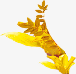 黄金树叶发簪彩绘素材