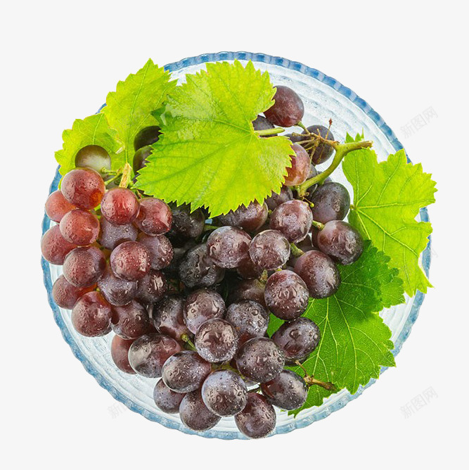 一盘红提png免抠素材_88icon https://88icon.com 一盘红提 叶子 实物 新鲜水果 果实 水果 热带水果 葡萄