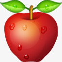 新鲜浆果免抠PNG新鲜苹果图标图标