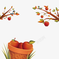 秋收苹果素材