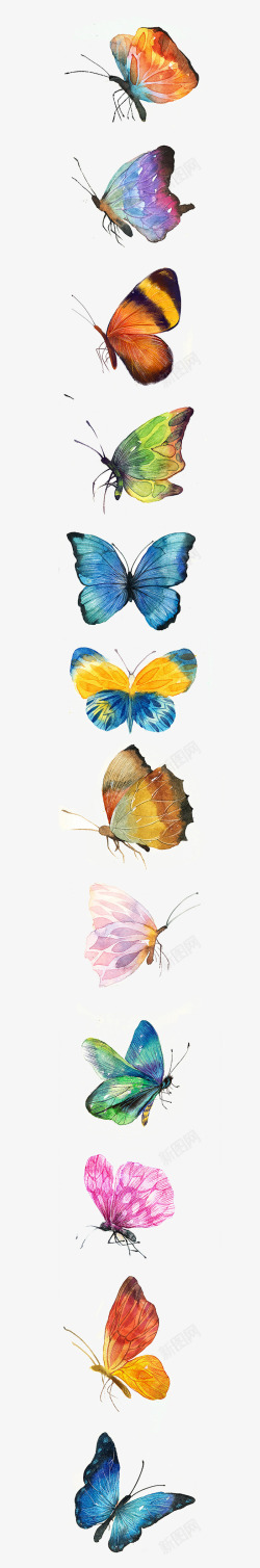 漂亮的彩色蝴蝶素材