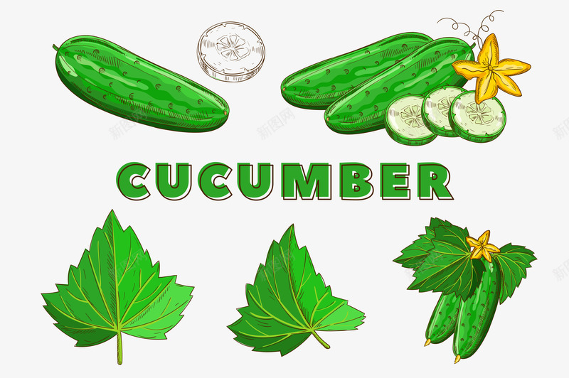 手绘卡通绿色蔬菜黄瓜png免抠素材_88icon https://88icon.com cucumber 手绘卡通蔬菜 绿叶 绿色 胡瓜 黄瓜 黄瓜花