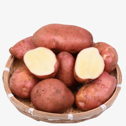 红皮土豆素材