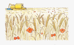 手绘插图麦子地收割麦子素材