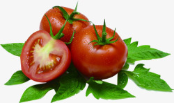 新鲜西红柿蔬菜背景图素材