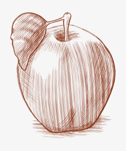 素描绘苹果矢量图素材