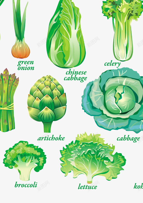绿色蔬菜图png免抠素材_88icon https://88icon.com 包菜 白菜 绿色 芦笋 蔬菜