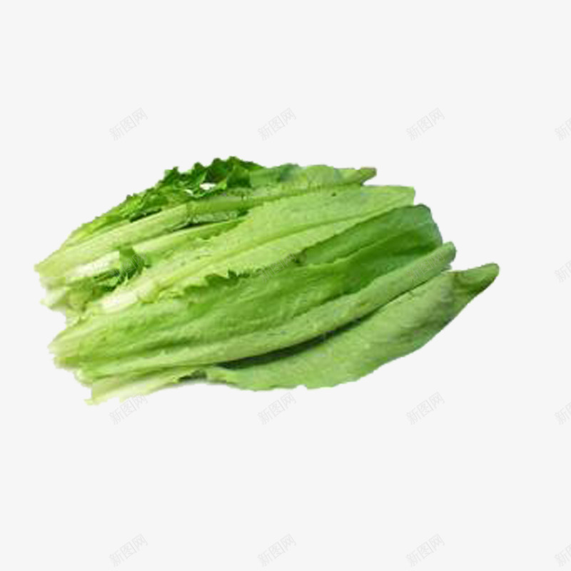 绿色油麦菜png免抠素材_88icon https://88icon.com 油麦菜 绿色 蔬菜 食材 食物