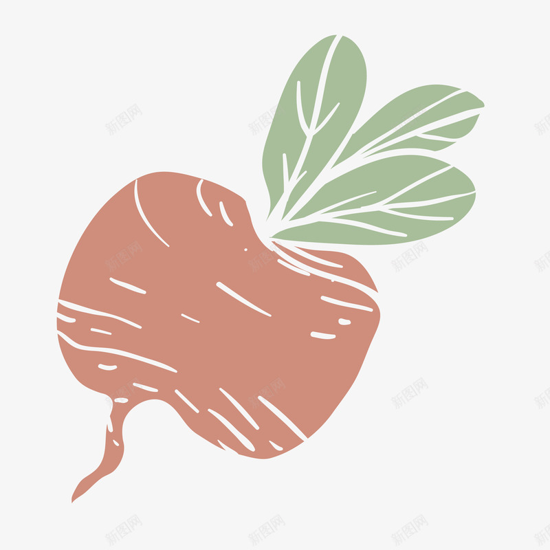 卡通手绘蔬菜装饰海报png免抠素材_88icon https://88icon.com 卡通植物插画 卡通装饰 小清新插画 广告设计 海报设计 美食 胡萝卜 胡萝卜叶 蔬菜 蔬菜插画