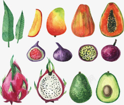精美的彩绘水果蔬菜矢量图素材