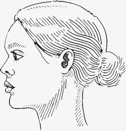 侧脸女性脸部轮廓线条画素材