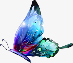 美丽翅膀的蝴蝶素材