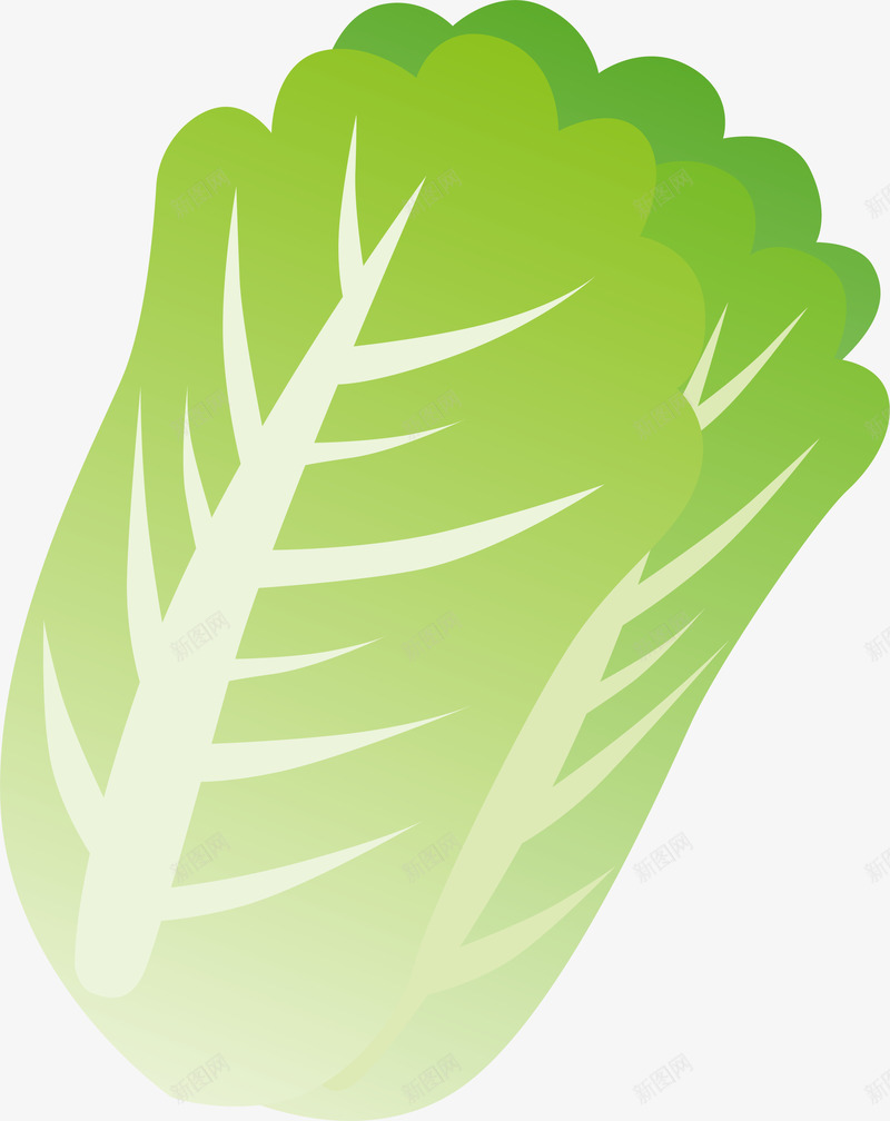 卡通手绘蔬菜装饰海报png免抠素材_88icon https://88icon.com 卡通植物插画 卡通装饰 小清新插画 广告设计 海报设计 白菜 美食 蔬菜 蔬菜插画