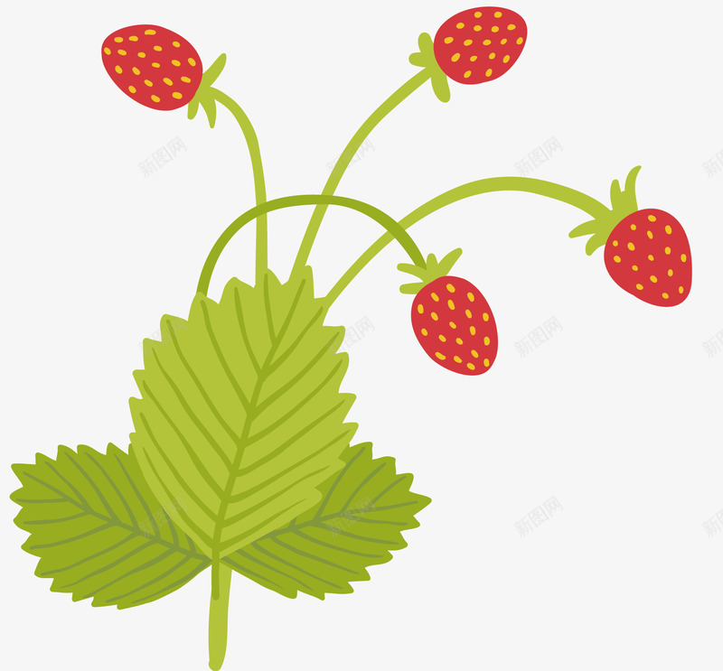 一棵草莓树矢量图ai免抠素材_88icon https://88icon.com 水果 水果蔬菜 矢量素材 绿色 草莓 矢量图