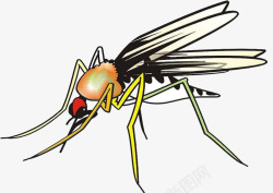 吸血的蚊子蚊子简笔画高清图片