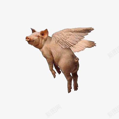 猪png免抠素材_88icon https://88icon.com 动物 幻想 滑稽 猪 翅膀
