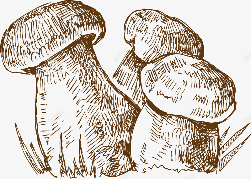 蘑菇手绘素描矢量图ai免抠素材_88icon https://88icon.com 平面设计 手绘 素描 蔬菜 蘑菇 矢量图