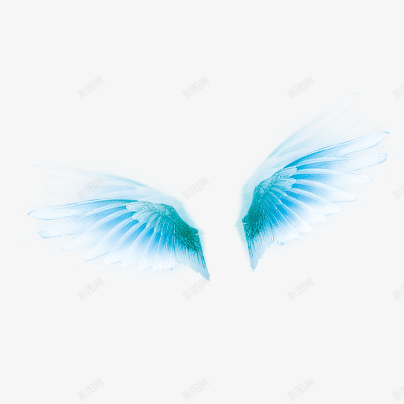 漂亮的翅膀png免抠素材_88icon https://88icon.com 图案 效果 标签 海报 翅膀 节日 装饰