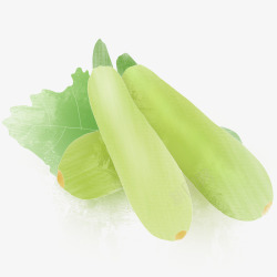 西葫芦北瓜绿色蔬菜素材