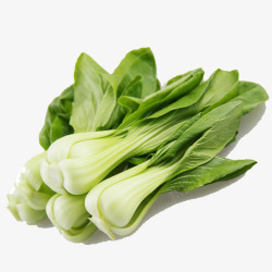 有机小白菜蔬菜高清图片