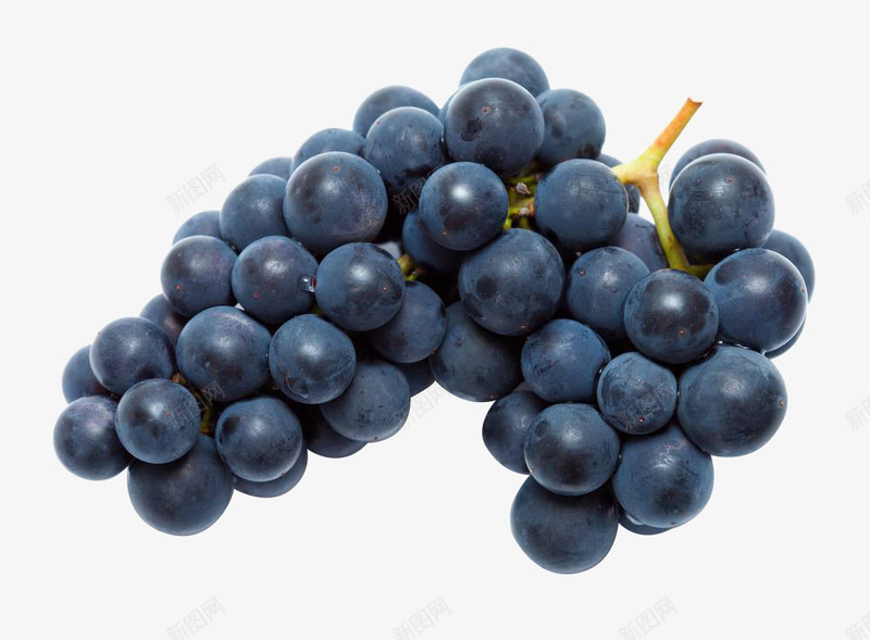 一串新鲜黑色葡萄png免抠素材_88icon https://88icon.com 夏黑葡萄 提子 新鲜水果 果实 水果 葡萄 食物 黑加仑 黑色葡萄