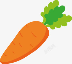 新鲜蔬菜胡萝卜插画素材