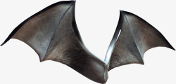 背饰蝙蝠翅膀高清图片