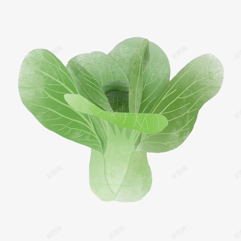 美味油菜蔬菜水果png免抠素材_88icon https://88icon.com 健康 水果 油菜 蔬菜