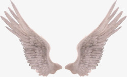 精美白色翅膀透明背景素材
