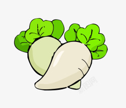 白萝卜素材