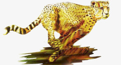 有质感的手绘黄金豹素材
