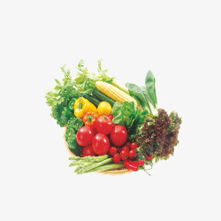 生鲜蔬菜素材
