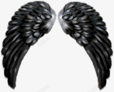 堕落天使的翅膀png免抠素材_88icon https://88icon.com 翅膀 黑翅膀 黑色翅膀