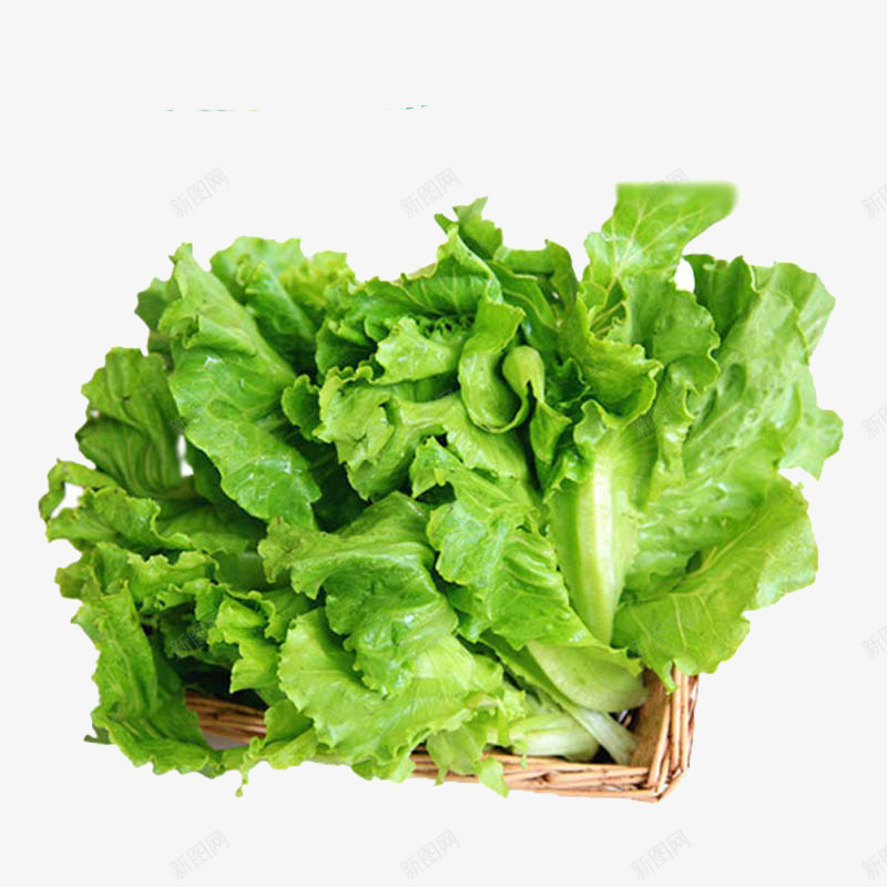 一篮子生菜png免抠素材_88icon https://88icon.com 产品实物 免费png素材 绿色 绿色食品 蔬菜