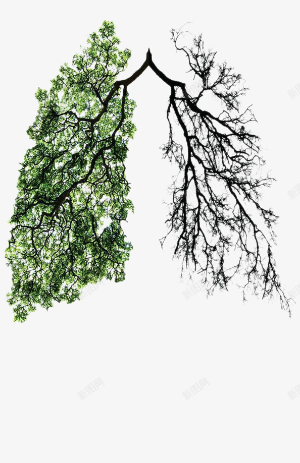 创意插画绿色植被是地球之肺png免抠素材_88icon https://88icon.com 创意插画 环保 肺 装饰元素