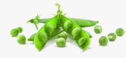 绿色豌豆荚绿色豌豆荚高清图片