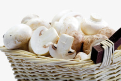 框子中的蘑菇框子中的蘑菇高清图片